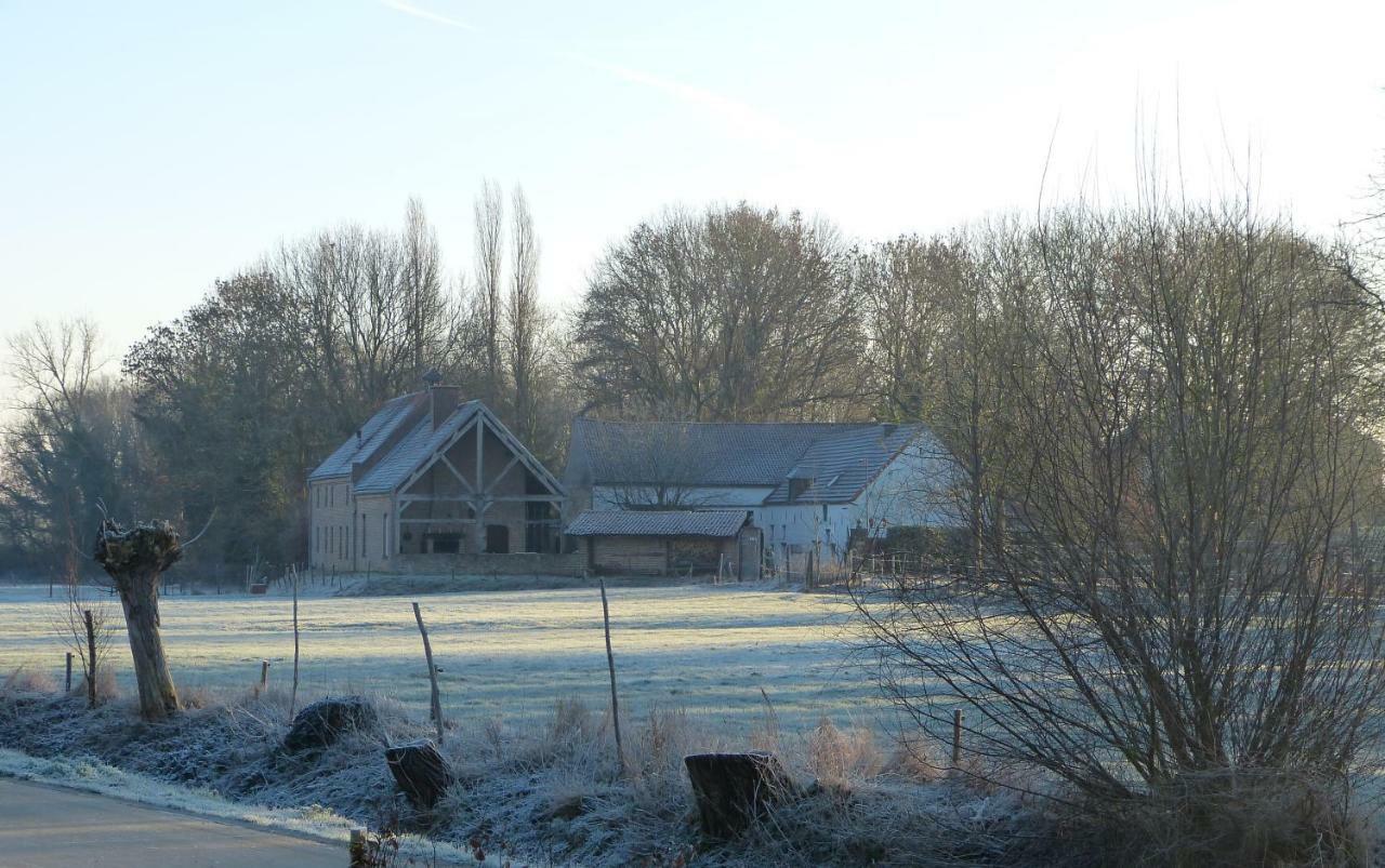 Velpe 55 Villa Bierbeek Kültér fotó
